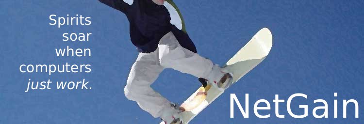 NetGain header